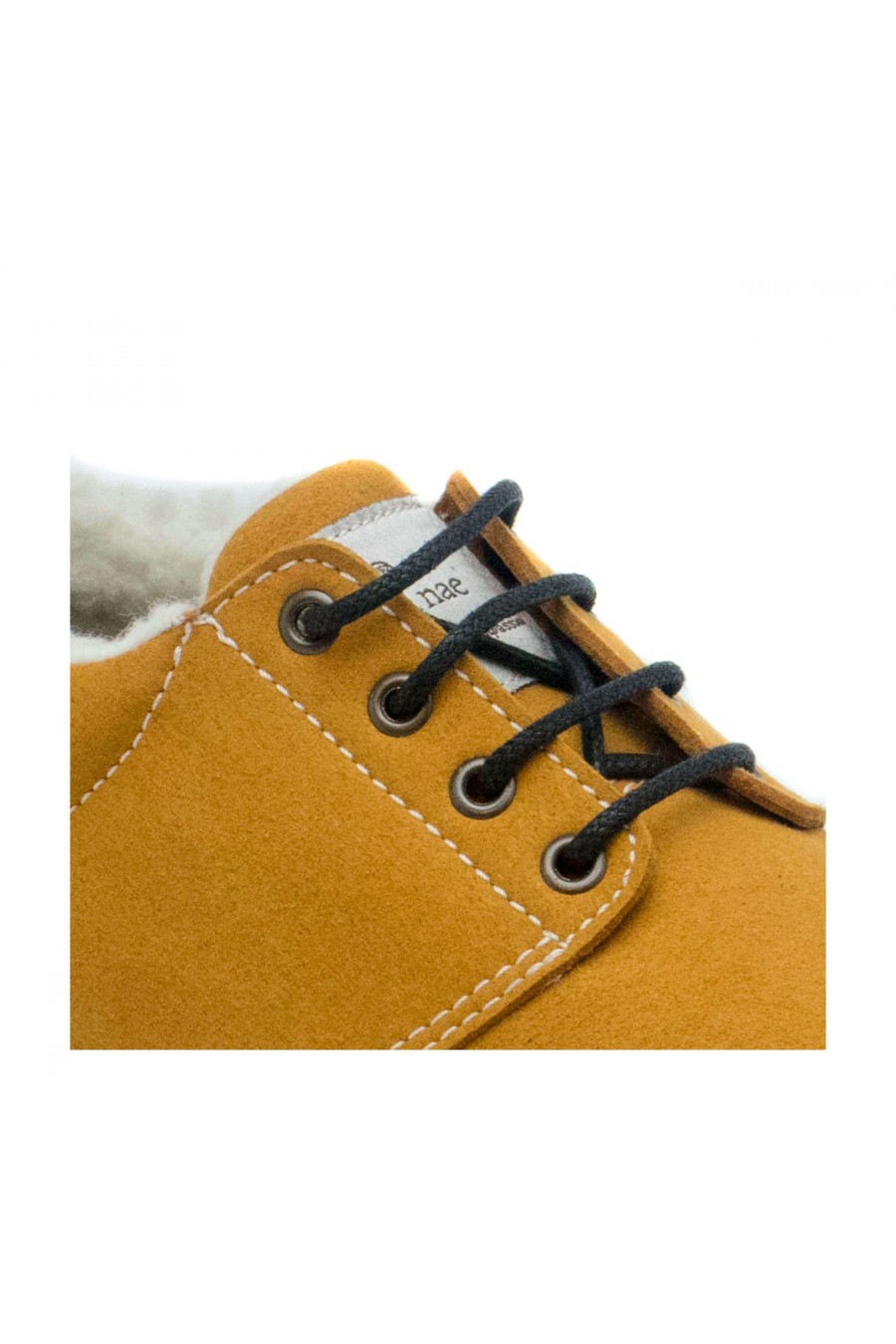 Marjuk_Camel