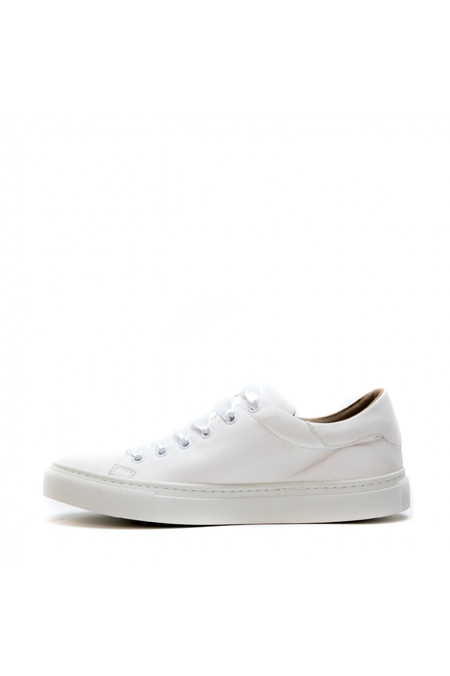 Rose_White