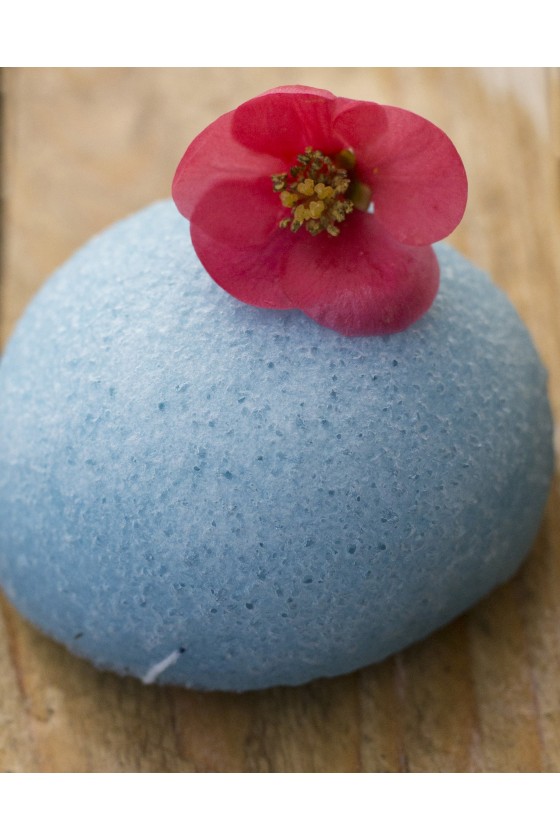 EPONGE KONJAC