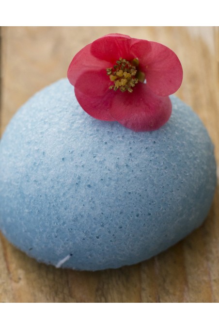 EPONGE KONJAC