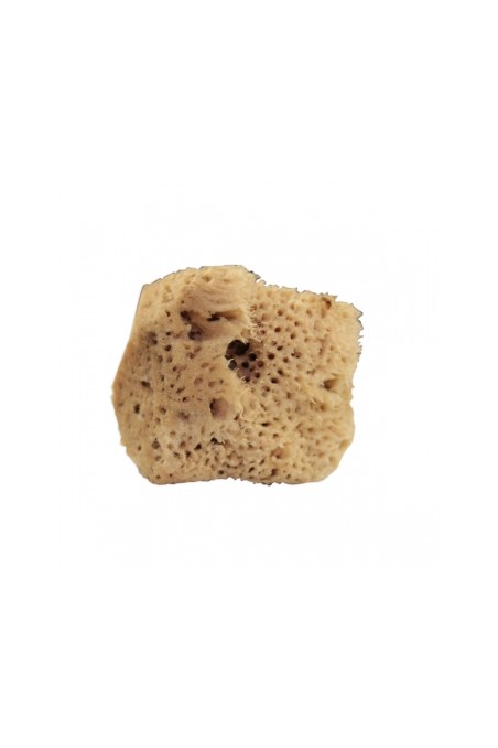 Eponge naturelle lavée