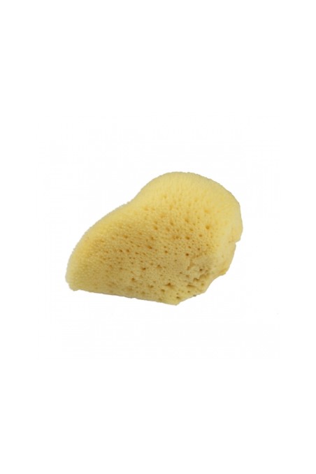 Eponge naturelle blanchie