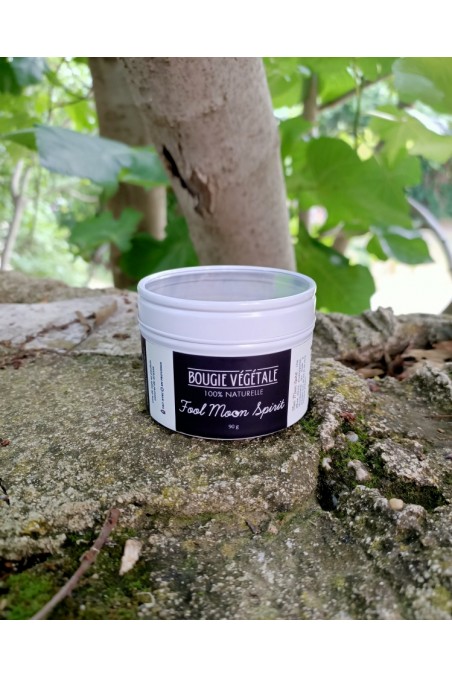 "Une cigale en Provence" bougie végétale naturelle et son mug en grès fait main