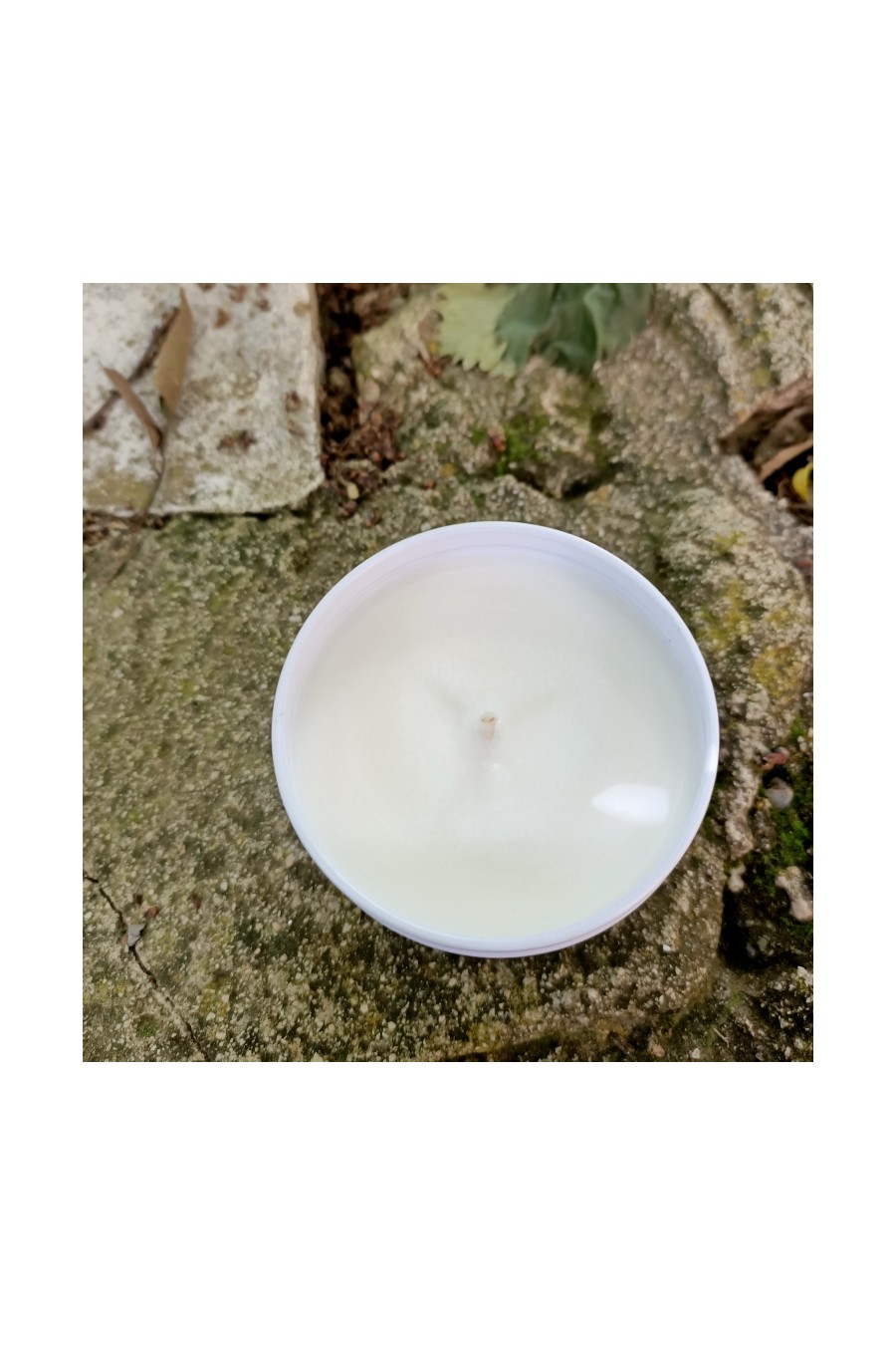 "Une cigale en Provence" bougie végétale naturelle et son mug en grès fait main